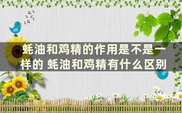 蚝油和鸡精的作用是不是一样的 蚝油和鸡精有什么区别